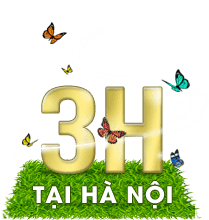 3H