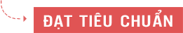 Đạt tiêu chuẩn